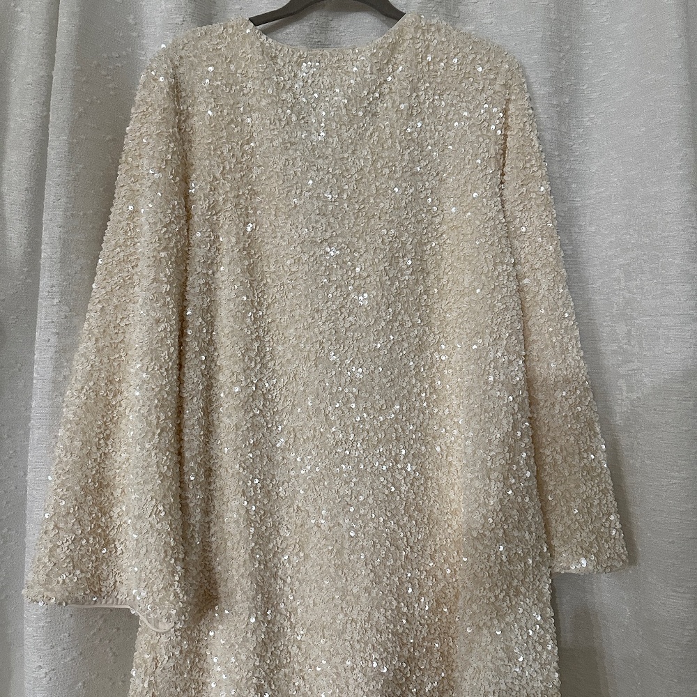 H&M Holiday Sequined Dress